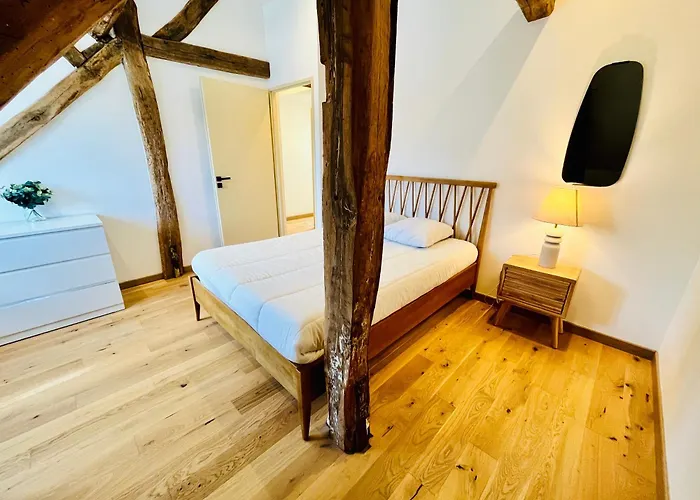 Le Big Duplex, Hypercentre, 4 Chambres, Spacieux Appartement Tours